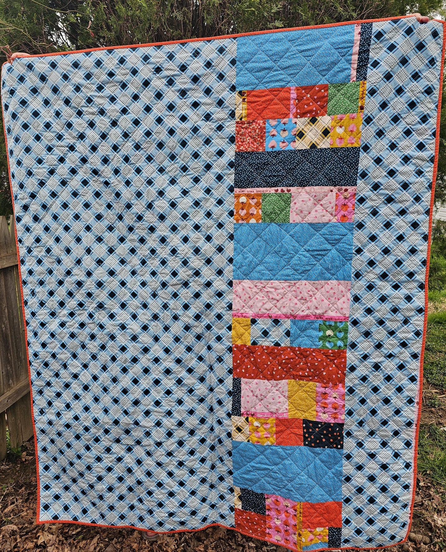 Handmade Quilt, Ruby Star Society Quilt, Throw Quilt, Lap Quilt, Patchwork Quilt, Dorm Room Quilt, Handmade Gift for Girls, Strawberry Gift