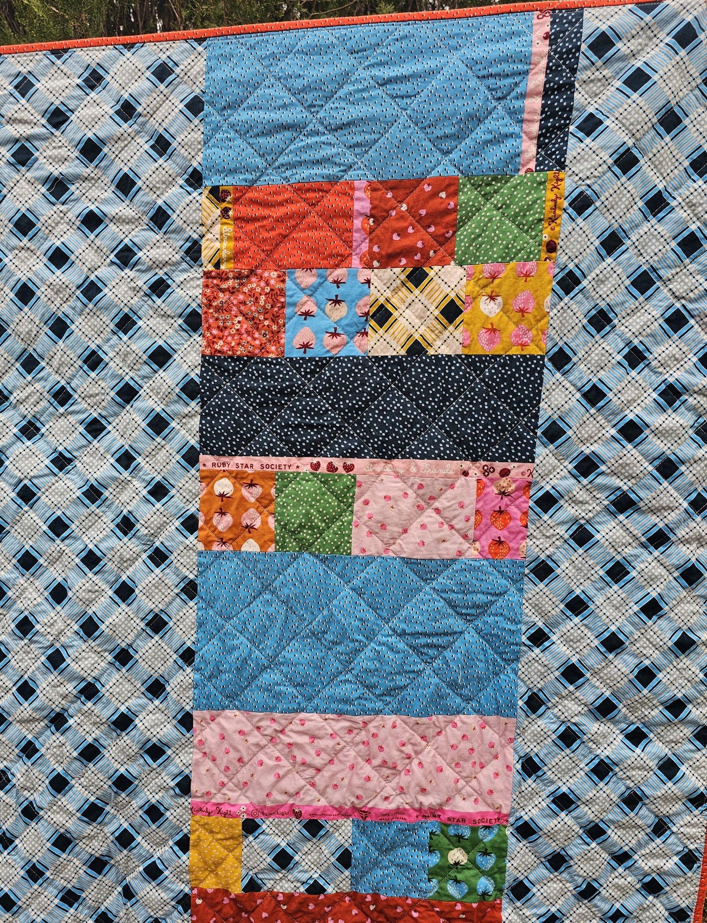 Handmade Quilt, Ruby Star Society Quilt, Throw Quilt, Lap Quilt, Patchwork Quilt, Dorm Room Quilt, Handmade Gift for Girls, Strawberry Gift